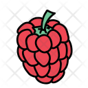 پیش‌نمایش فایل raspberry-53 از پک Food And Drinks 
