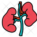 پیش‌نمایش فایل kidneys-55 از پک Medical 