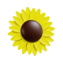 آیکن