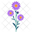 پیش‌نمایش فایل aster-5366899 از پک بهار