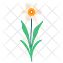 پیش‌نمایش فایل daffodil-5366904 از پک بهار