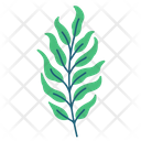 پیش‌نمایش فایل fern-5366892 از پک بهار