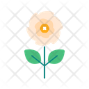 پیش‌نمایش فایل flower-5366893 از پک بهار