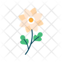 پیش‌نمایش فایل flower-5366896 از پک بهار