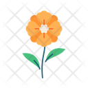 پیش‌نمایش فایل flower-5366906 از پک بهار