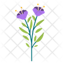 پیش‌نمایش فایل flower-5366912 از پک بهار