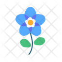 پیش‌نمایش فایل flower-5366913 از پک بهار