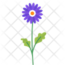 پیش‌نمایش فایل gerbera-5366894 از پک بهار