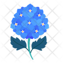 پیش‌نمایش فایل hydrangea-5366895 از پک بهار