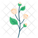 پیش‌نمایش فایل jasmine-flower-5366908 از پک بهار