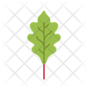 پیش‌نمایش فایل leaf-5366919 از پک بهار