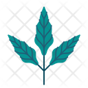 پیش‌نمایش فایل leaves-5366918 از پک بهار