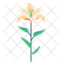 پیش‌نمایش فایل lily-5366910 از پک بهار
