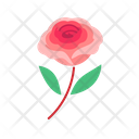 پیش‌نمایش فایل rose-5366897 از پک بهار
