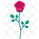پیش‌نمایش فایل rose-5366915 از پک بهار