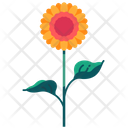 پیش‌نمایش فایل sunflower-5366916 از پک بهار