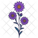 پیش‌نمایش فایل aster-5366929 از پک بهار