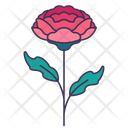 پیش‌نمایش فایل carnation-5366933 از پک بهار