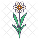 پیش‌نمایش فایل daffodil-5366934 از پک بهار