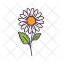پیش‌نمایش فایل daisy-5366935 از پک بهار