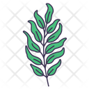 پیش‌نمایش فایل fern-5366922 از پک بهار