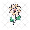 پیش‌نمایش فایل flower-5366926 از پک بهار