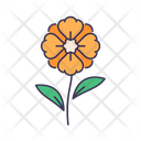 پیش‌نمایش فایل flower-5366936 از پک بهار