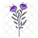 پیش‌نمایش فایل flower-5366942 از پک بهار