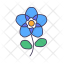 پیش‌نمایش فایل flower-5366943 از پک بهار