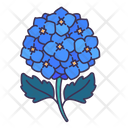 پیش‌نمایش فایل hydrangea-5366925 از پک بهار