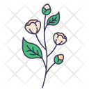 پیش‌نمایش فایل jasmine-flower-5366938 از پک بهار