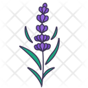 پیش‌نمایش فایل lavender-5366939 از پک بهار