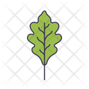 پیش‌نمایش فایل leaf-5366949 از پک بهار