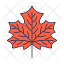 پیش‌نمایش فایل maple-5366950 از پک بهار