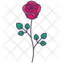 پیش‌نمایش فایل rose-5366945 از پک بهار