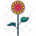 پیش‌نمایش فایل sunflower-5366946 از پک بهار