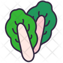 پیش‌نمایش فایل lettuce-5447791 از پک سوکی‌یاکی