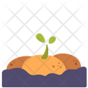 پیش‌نمایش فایل growing-potatoes-2648906 از پک فضا