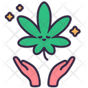 پیش‌نمایش فایل cannabis-5444819 از پک شاهدانه