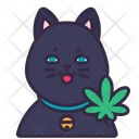پیش‌نمایش فایل catnip-5444825 از پک شاهدانه