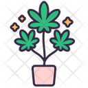پیش‌نمایش فایل growth-cannabis-5444814 از پک شاهدانه