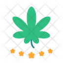 پیش‌نمایش فایل cannabis-5444783 از پک شاهدانه
