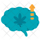 پیش‌نمایش فایل cannabis-addict-5444777 از پک شاهدانه