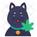 پیش‌نمایش فایل catnip-5444795 از پک شاهدانه