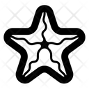 پیش‌نمایش فایل starfish-5444609 از پک ساحل