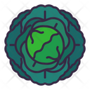 پیش‌نمایش فایل cabbage-8615287 از پک سبزیجات