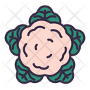 پیش‌نمایش فایل cauliflower-8615254 از پک سبزیجات