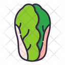 پیش‌نمایش فایل lettuce-8615275 از پک سبزیجات