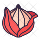 پیش‌نمایش فایل onion-8615279 از پک سبزیجات