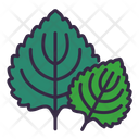 پیش‌نمایش فایل perilla-leaves-8615281 از پک سبزیجات